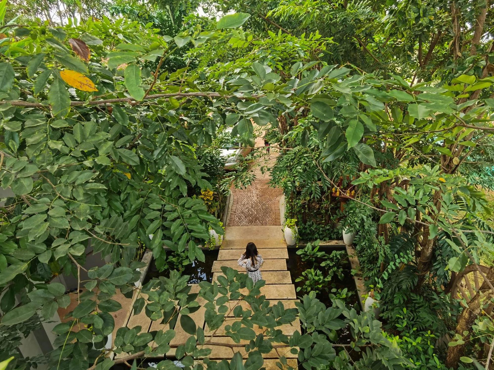 Cheata Residence Siem Reap Exterior foto
